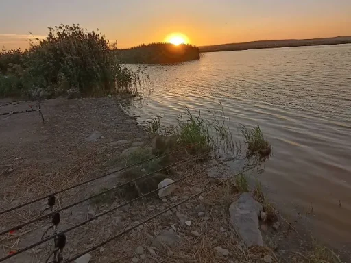 Balta 6 Martie – Unde Natura Întâlnește Pasiunea pentru Pescuit