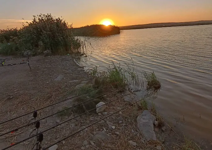 Balta 6 Martie – Unde Natura Întâlnește Pasiunea pentru Pescuit