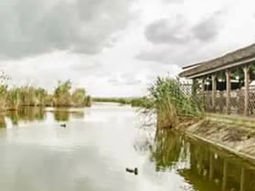 Balta Tauc - Zebil, Tulcea – Oază de pescuit și relaxare în Tulcea