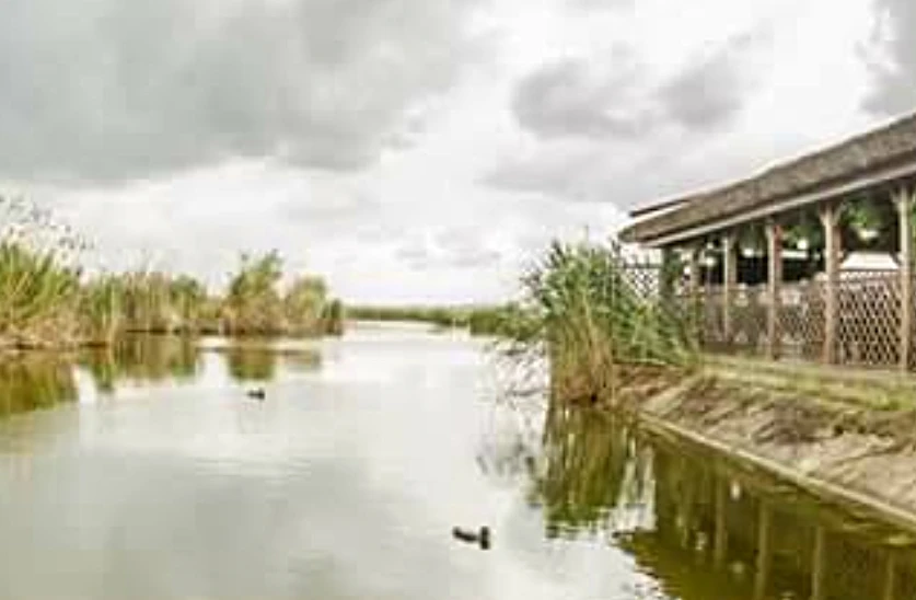 Balta Tauc - Zebil, Tulcea – Oază de pescuit și relaxare în Tulcea