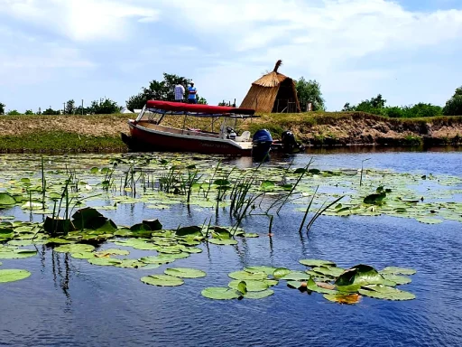 Lacul Matița – O perla a Deltei Dunării