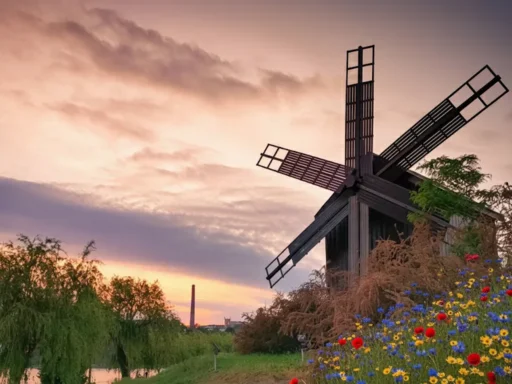 Moara de Lemn de la Lacul Ciuperca: O Poveste a Timpului și a Rădăcinilor Tulcei 1 Moara de Lemn de la Lacul Ciuperca: O Poveste a Timpului și a Rădăcinilor Tulcei