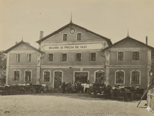 Moara și Ulenița din Tulcea: O Glimpsă în Inima Economică a Portului Dunărean 2 Moara și Ulenița din Tulcea: O Glimpsă în Inima Economică a Portului Dunărean